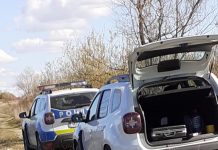 Acţiune de combatere a braconajului piscicol pe Olt, în zona Viştea