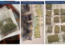 Cinci bărbați au fost arestați pentru trafic de cannabis