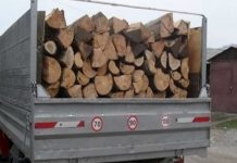 Poliţiştii au dat amenzi pentru tăieri ilegale de material lemnos. Au fost verificate 4 firme şi 13 persoane monitorfg