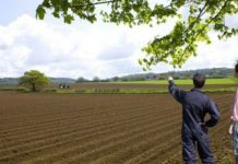 Fonduri epuizate la AFIR pentru instalarea tinerilor fermieri. Nu se mai primesc cereri