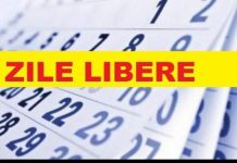 Minivacanţă la sfârşitul lunii noiembrie