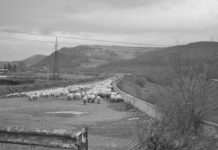 Primăria Făgăraş, Ocolitoarea şi bicicletele. A patra strigare, tot cu firma de casă