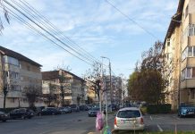 Tot cu gunoiul în cui, la Făgăraş. ,,Avem dreptul la pubele nu să fie un gunoi toată strada tras de câini”