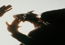 Un bărbat din Făgăraş şi-a bătut concubina şi pe fiul acesteia