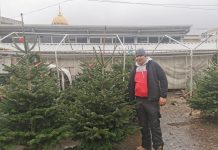 Brazi din Danemarca, în Piaţa Agroalimentară din Făgăraş. Preţuri de la 60 lei la 200 lei în funcţie de mărime