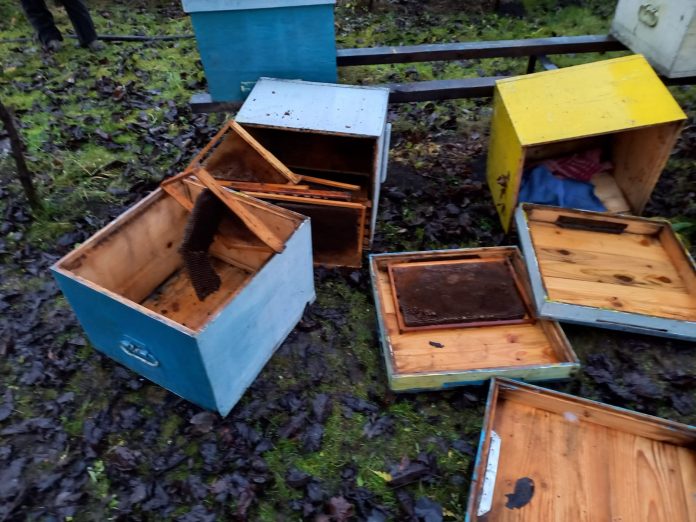 ca5f2986-d21b-420b-8147-de4812fde0a2