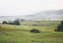 A încasat aproape 600.000 lei de la APIA prin declaraţii false. DNA a trimis dosarul în instanţă