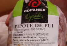Alertă ANSVSA: Pipote de pui din Polonia cu Salmonella, la Penny