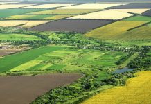 Terenurile din Ţara Făgăraşului se înstrăinează, metru cu metru