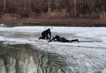 Trei adolescenţi au căzut în lacul Dumbrăviţa, după ce gheaţa a cedat