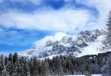 Iarnă blândă. În februarie temperaturile vor fi mai ridicate decât valorile normale