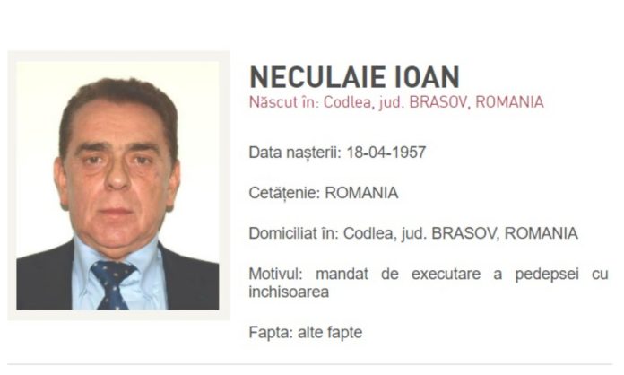 neculaie-cautat-bun-1536x922