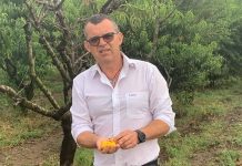 Moartea misterioasă a unui om de afaceri din Sibiu. Trupul său fără viață a fost găsit după trei luni, într-o pădure