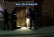 Descinderi la hoţii de lemne. Legături între personalul silvic și firmele de exploatare forestieră