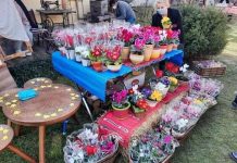 Târgul Mărțișorului și al Florilor, la Cârțișoara, 26-27 februarie. ,,Sunt invitați artizani, meșteșugari și producători locali din Țara Făgărașului“ spun organizatorii