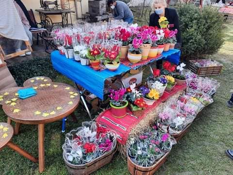 155960014_1801672803322897_6893415988567200090_n