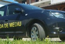 Amenzi uriașe în urma controalelor la service-uri auto din țară. Ce au descoperit inspectorii Gărzii de Mediu