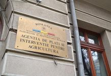 APIA a început eliberarea de adeverinţe pentru solicitanţii schemei de ajutor de stat în sectorul creşterii animalelor pentru 2022