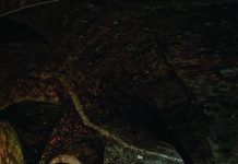 Fața întunecată a Cetății Făgăraș. Castelul, un abator de ființe vii monitorfg