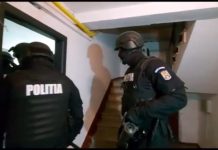 Percheziții și arestări. Din Arad au furat la Brașov