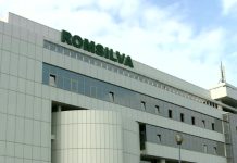 Dezmăț financiar la Romsilva: salariile și bonusurile colosale ale pădurarilor. Cât câștigă conducerea