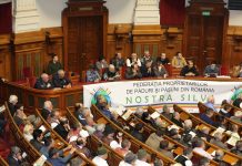 Curtea de Apel Alba Iulia a suspendat trei ordine ale Ministerului Mediului. Un alt succes pentru Nostra Silva. Asociația Munții Făgărașului implicată în proces