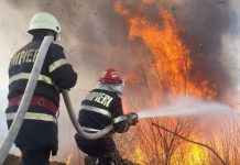 Incendii de vegetație uscată în zona Făgăraș. Pompierii cer populației să respecte măsurile de prevenire a acestui tip de incendii monitorfg
