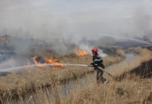 Tot mai multe incendii de vegetație uscată. Amenzi de la 1.000 la 2.500 lei pentru autorii identificați