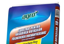 Foto. Pregătim grădina pentru răsaduri de legume și flori cu AGRO CS România