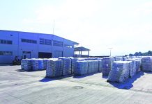 Foto. Pregătirea grădinilor împreună cu AGRO CS România. Cele mai bune şi profesioniste sfaturi pentru grădina ta numai cu compania AGRO CS