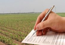 Peste 215.000 fermieri au depus deja Cereri Unice de Plată la APIA