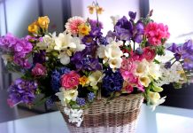 8 Martie, Ziua Internaţională a Femeii. La mulţi ani tuturor mamelor, doamnelor şi domnişoarelor!