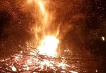 O femeie din Șona a ars de vie în incendiul produs la resturile vegetale din grădina sa. Apelul pompierilor