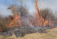 Sancțiuni drastice pentru arderea vegetației uscate: Amenzi dublate și închisoare dacă faptele au pus în pericol viața
