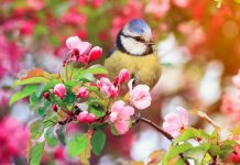 Prognoza meteo. Un val de aer african loveşte România. Cât va fi de cald, ce ne aşteaptă în următoarele zile