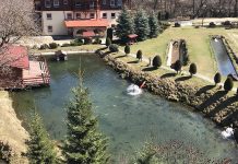 La Păstrăvăria Albota, focar de septicemie hemoragică virală la păstrăvi. Toți peștii au fost distruși. În zona de protecție intră și Victoria și Ucea