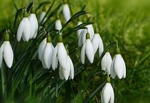 Vremea până în 20 martie: Frig în următoarele zile, apoi se încălzește. Prognoza meteo pe două săptămâni