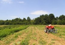 Programul Rural Invest a fost aprobat de Guvern. Ce pot face fermierii cu banii din program