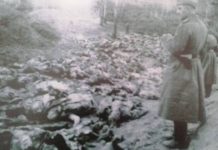 Masacrul de la Fântâna Albă. Mărturii ale profesorul Gheorghe Mihailiuc: „Oamenii cădeau ca frunzele de brumă“