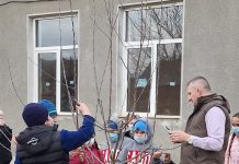 Livada de meri din curtea școlii din Beclean. Copiii învață să îngrijească pomii alături de dascăli, primar și viceprimar