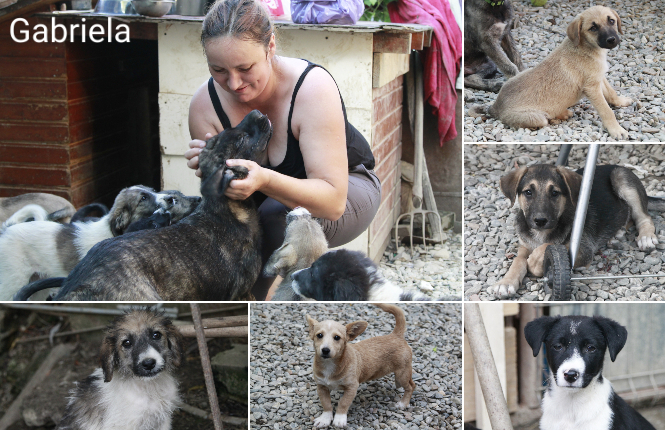 56c0f2d19b4a4ff8fcecd14cd913038b