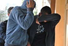 Hoții care au furat dintr-o cabană din Arpașu de Sus au fost reținuți