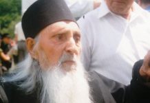 Luptătorul dobrogean, devenit călugărul Nectarie la Mănăstirea Sâmbăta. Colectivizarea în satele făgărășene