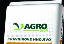 Foto. Sfaturi pentru grădina ta de la AGRO CS România. Cosmetizarea grădinii cu plante