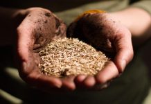 Predicția oamenilor de știință: Lumea va rămâne fără mâncare în 27 de ani