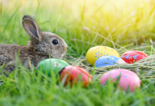 Vremea de Paște și de 1 Mai: Temperaturi ușor mai ridicate față de normalul perioadei