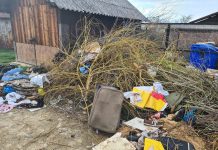 Un cetățean din Victoria s-a trezit în curte cu gunoaiele pe care le aruncase la întâmplare. Primăria l-a și amendat