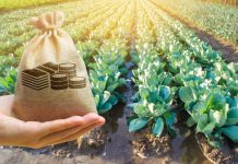 „Microgranturi în domeniul agroalimentar”. Cererile se depun în perioada 27-31 mai la APIA. 5000 euro/beneficiar