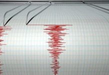 Cutremur cu magnitudinea de 4,1 grade pe scara Richter, la 120 km de Făgăraș