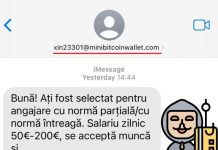 Poliția avertizează: Un nou tip de escrocherie cu oferte de angajare prin SMS